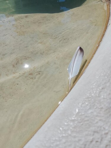 La fontana del cuore