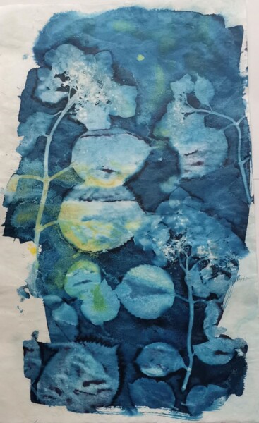 印花与版画 标题为“30 x 50_VEGETAL 3” 由Cornelia Tersanszki, 原创艺术品, 蓝晒法 安装在纸板上