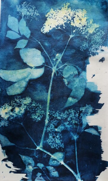 印花与版画 标题为“30 x 50_VEGETAL 8” 由Cornelia Tersanszki, 原创艺术品, 蓝晒法 安装在纸板上