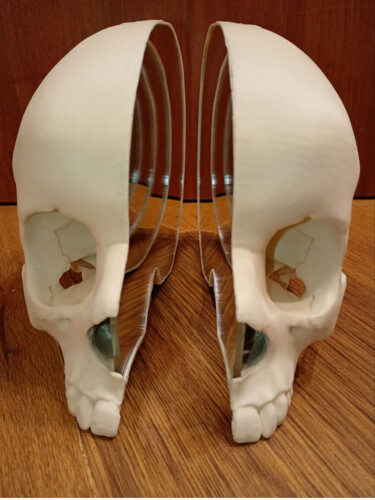 Sculpture titled "Intercranial Interm…" by Liudmila Skripkina, Original Artwork, Plastic