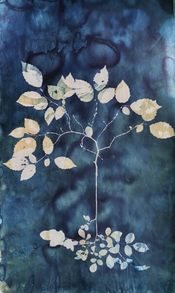 "30 x 50_VEGETAL 16" başlıklı Baskıresim Cornelia Tersanszki tarafından, Orijinal sanat, Siyanotip Karton üzerine monte edil…