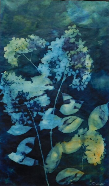 Printmaking titled "30 x 50_VEGETAL 22" by Cornelia Tersanszki, Original Artwork, Cyanotype Mounted on Cardboard