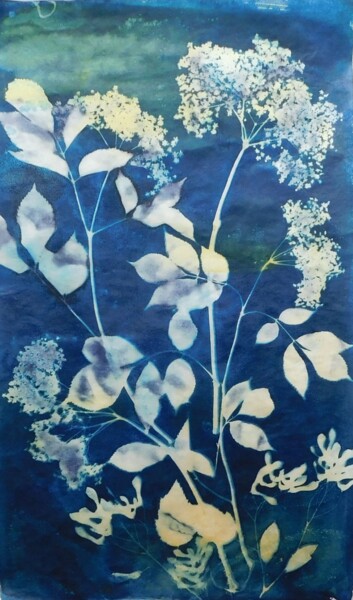 "30 x 50_VEGETAL 24" başlıklı Baskıresim Cornelia Tersanszki tarafından, Orijinal sanat, Siyanotip Karton üzerine monte edil…