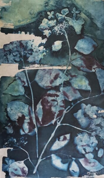 Printmaking titled "30 x 50_VEGETAL 27" by Cornelia Tersanszki, Original Artwork, Cyanotype Mounted on Cardboard