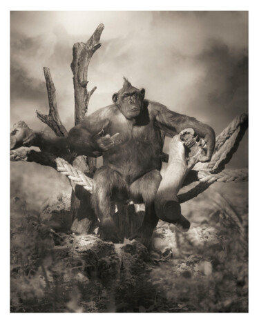 Φωτογραφία με τίτλο "Aurelio The punk" από Oriol Jolonch, Αυθεντικά έργα τέχνης, Ψηφιακή φωτογραφία