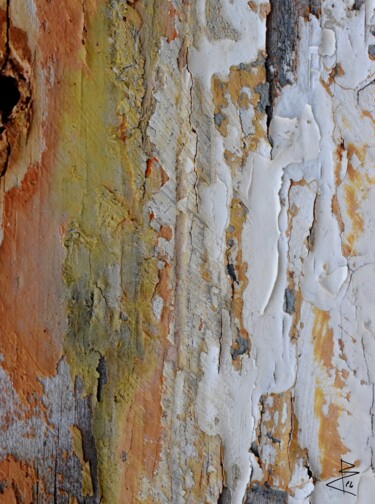 Фотография под названием "Texture authentique" - David Bidon, Подлинное произведение искусства, Цифровая фотография