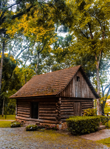 "OUTONO EM CURITIBA" başlıklı Fotoğraf Bruno Dias tarafından, Orijinal sanat, Dijital Fotoğrafçılık