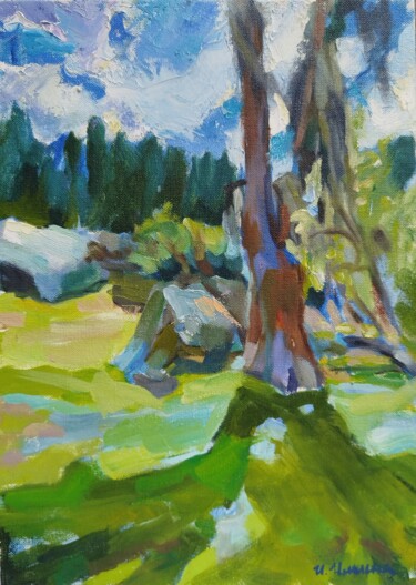 Malarstwo zatytułowany „Somewhere in Colomb…” autorstwa Irina Ilina, Oryginalna praca, Olej Zamontowany na Drewniana rama no…