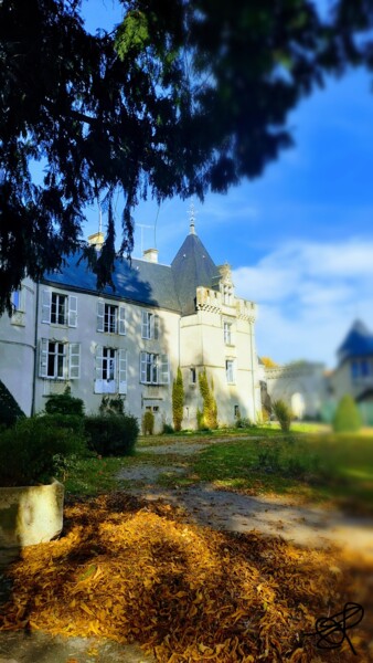 Photographie intitulée "De l'or tombé des a…" par Emma Laflute, Œuvre d'art originale, Photographie non manipulée