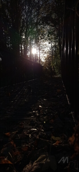 "Petit pont sous-bois" başlıklı Fotoğraf M. Séb tarafından, Orijinal sanat, Dijital Fotoğrafçılık