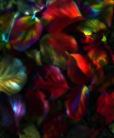 Fotografie mit dem Titel "Leaf Fall 5" von Peter Watson, Original-Kunstwerk, Digitale Fotografie