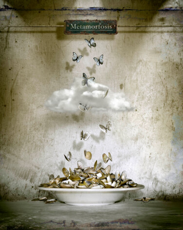 Photography titled "Metamorfosis" by Oriol Jolonch, Original Artwork, Digital Photography