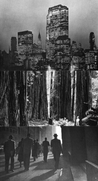 Collages titled "Sequoia City Avenue" by Nicolas Bruneaux, Original Artwork, Collages