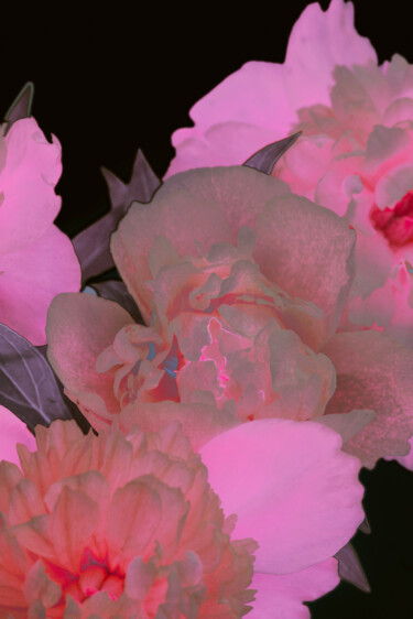 Fotografie mit dem Titel "Flower design_ 11709" von Michael Vdovin, Original-Kunstwerk, Digitale Fotografie