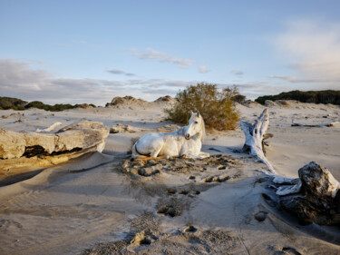 Photographie intitulée "Camargue #2" par Giulio Di Sturco, Œuvre d'art originale, Photographie numérique