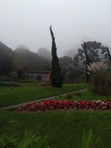 "Campos do Jordão" başlıklı Fotoğraf Luciano Calazans Marinho tarafından, Orijinal sanat, Dijital Fotoğrafçılık