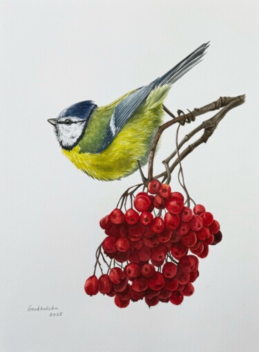 Painting titled "Blue Tit on Viburnum" by Viktoriia Grokholska, Original Artwork, Watercolor