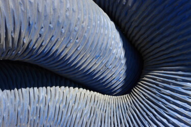 摄影 标题为“Gaine bleue” 由Jacques Jégo, 原创艺术品, 非操纵摄影