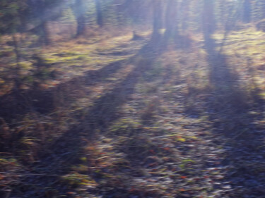 "Autumn forest" başlıklı Fotoğraf Loba-Nova Natalia tarafından, Orijinal sanat, Fotoşoplu fotoğrafçılık