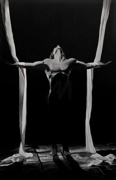 Malerei mit dem Titel "FREEDOM" von Danijel Segecic, Original-Kunstwerk, Öl Auf Keilrahmen aus Holz montiert