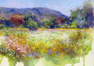 LA PRAIRIE AU PRINTEMPS