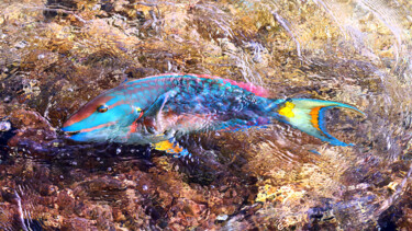 "Drawing with light…" başlıklı Fotoğraf Federico Cabello tarafından, Orijinal sanat, Fotoşopsuz fotoğraf Plastik cam üzerine…