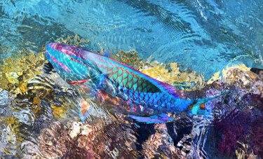 "Drawing with light…" başlıklı Fotoğraf Federico Cabello tarafından, Orijinal sanat, Fotoşopsuz fotoğraf