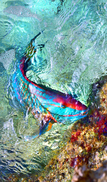 "Drawing with light…" başlıklı Fotoğraf Federico Cabello tarafından, Orijinal sanat, Fotoşopsuz fotoğraf