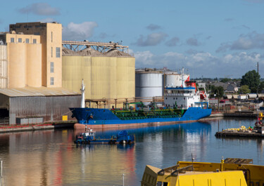 Цифровое искусство под названием "Géants d’Acier et d…" - Cecile Ducrot, Подлинное произведение искусства, Не манипулируемая…