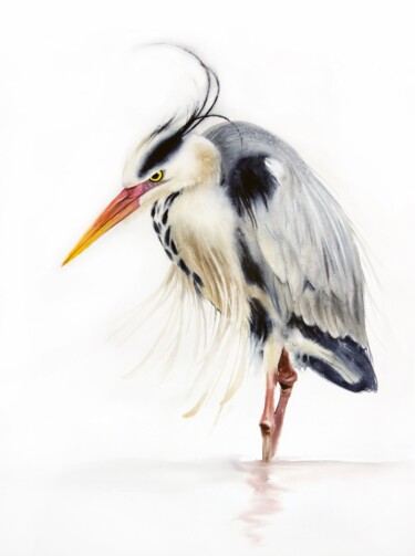 Malerei mit dem Titel "Grey heron for Hero…" von Olga Beliaeva, Original-Kunstwerk, Aquarell
