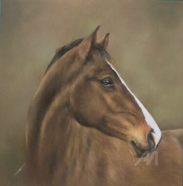Drawing titled "Horse portrait." by Irene_art, Original Artwork, Pastel