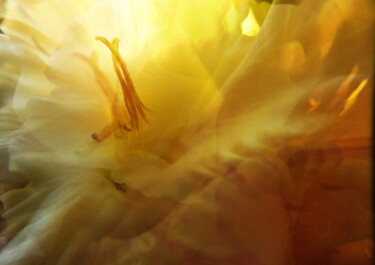 Fotografie getiteld "La vuelta a tu casa…" door Elizaveta Fedorova, Origineel Kunstwerk, Digitale collage