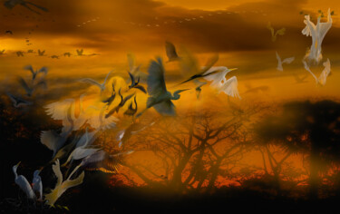 Фотография под названием "2025-MM-0210" - Meir Martin, Подлинное произведение искусства, Цифровая фотография