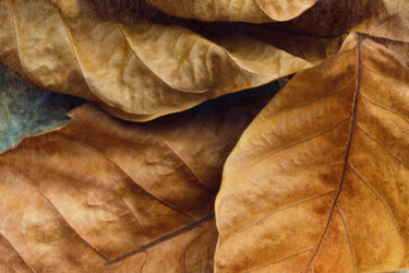 Фотография под названием "Flower design_ 43297" - Michael Vdovin, Подлинное произведение искусства, Цифровая фотография