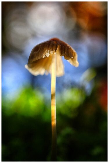 Фотография под названием "# 12123" - Bruno Dujardin, Подлинное произведение искусства, Цифровая фотография