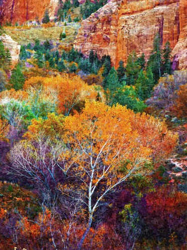 Fotografie mit dem Titel "Kolob Canyons, Zion…" von Peter Watson, Original-Kunstwerk, Digitale Fotografie