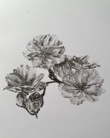 Рисунок под названием "Japanische Kirschbl…" - Anne Goldhahn, Подлинное произведение искусства, Карандаш