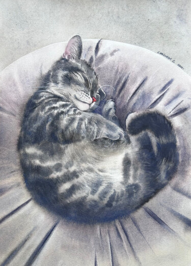 "The cat is sleeping…" başlıklı Tablo Svetlana Safonova tarafından, Orijinal sanat, Suluboya