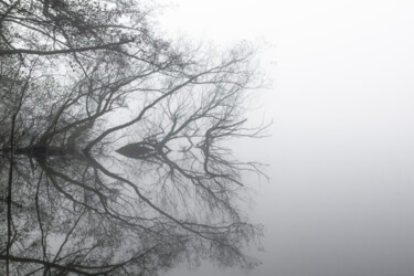 Fotografia zatytułowany „Le souffle du miroir” autorstwa Fabrice Lalloz, Oryginalna praca, Fotografia cyfrowa