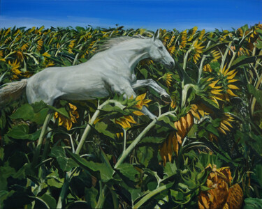 "白尾流星" başlıklı Tablo 恒 强 tarafından, Orijinal sanat, Petrol