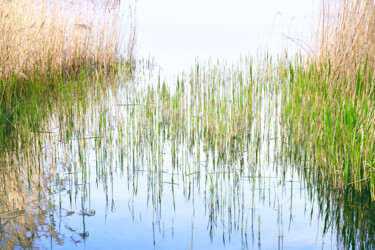 Fotografie mit dem Titel "CUTS-Green coding" von Olivier Cuvelette, Original-Kunstwerk, Digitale Fotografie