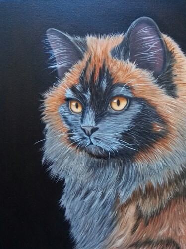 Peinture intitulée "Peinture de chat, h…" par Steivan Loundou, Œuvre d'art originale, Huile Monté sur Châssis en bois