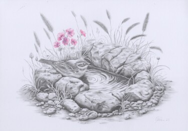 Zeichnungen mit dem Titel "das Vogelbad" von Sven Gildemeister, Original-Kunstwerk, Bleistift