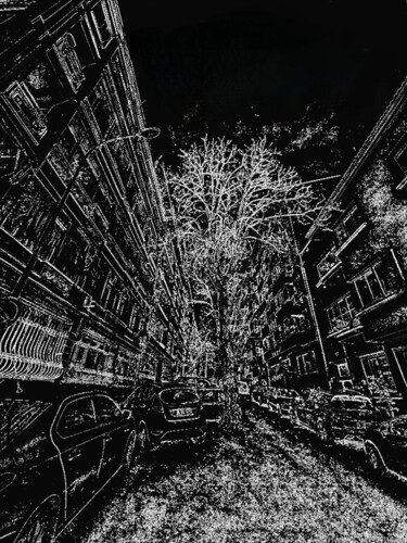 "The Night Tree" başlıklı Baskıresim Banu Muazzez Arpalı tarafından, Orijinal sanat, Dijital Fotoğrafçılık