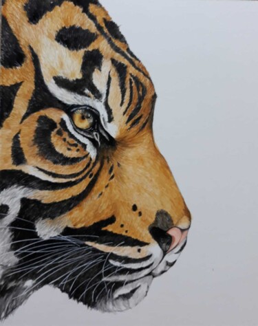 Ζωγραφική με τίτλο "PROFILO DI TIGRE" από Paola Bona, Αυθεντικά έργα τέχνης, Λάδι