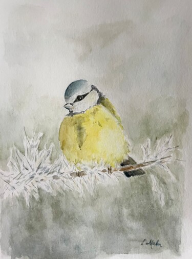 Картина под названием "Mésange bleu sur un…" - Lisa Malm, Подлинное произведение искусства, Акварель