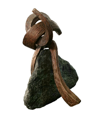 Sculpture intitulée "Oxalis III 1-8" par Vincent Champion-Ercoli, Œuvre d'art originale, Bronze