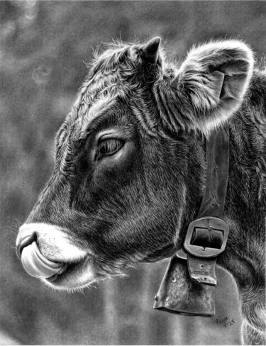 Рисунок под названием "Cow with a Bell" - Teresa Payne Art, Подлинное произведение искусства, Древесный уголь