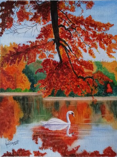 Картина под названием "O Cisne e as Cores…" - Inês Dourado, Подлинное произведение искусства, Акварель