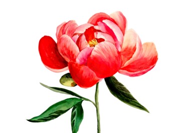 Malerei mit dem Titel "Red peony" von Anna Baranova, Original-Kunstwerk, Aquarell